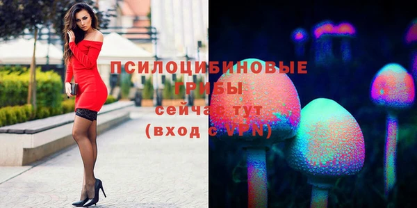 ешки Туринск